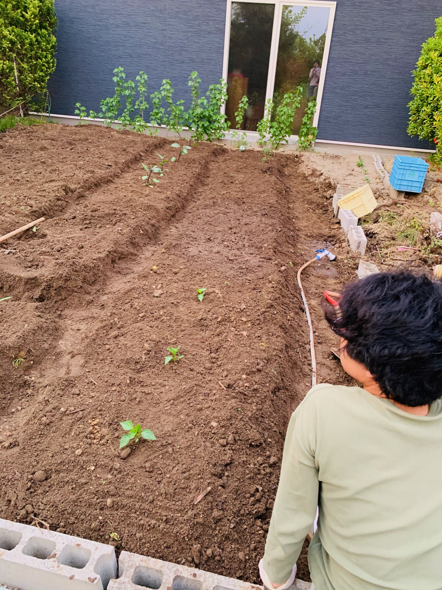 Soil improvement