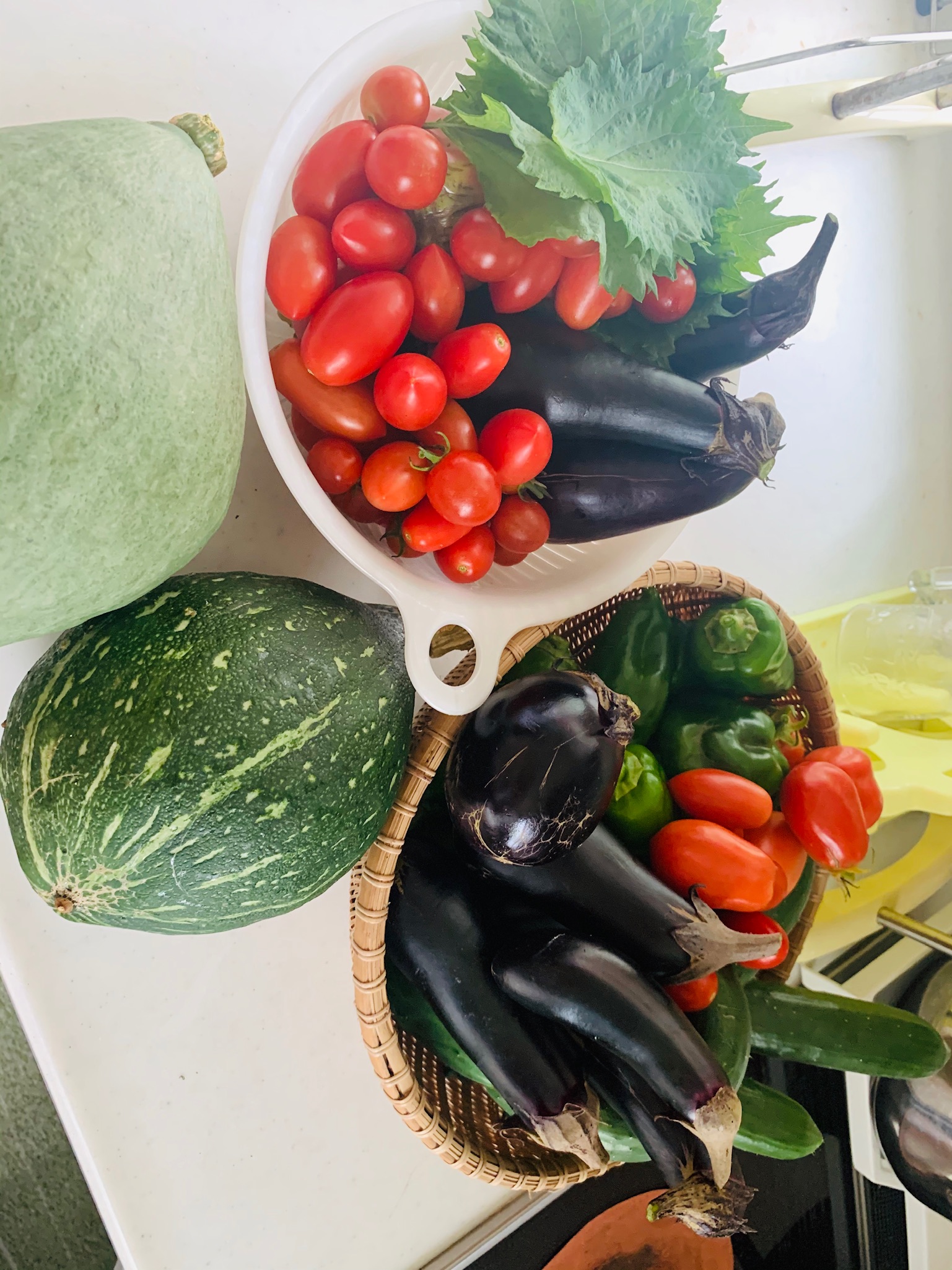 Harvested fruit and leafy vegetables in early autumn