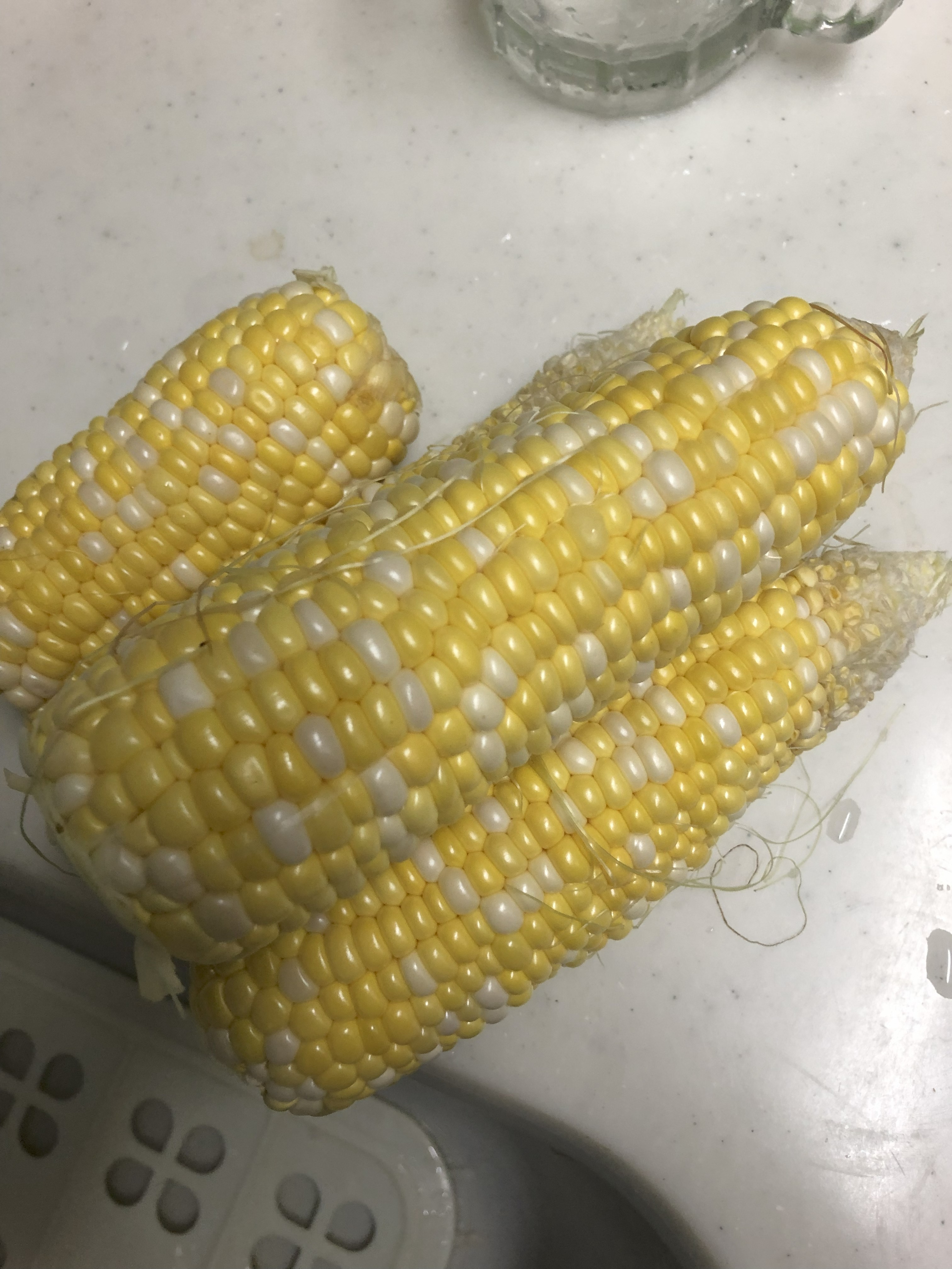 Short corn plants; note on multi-row planting for pollination
