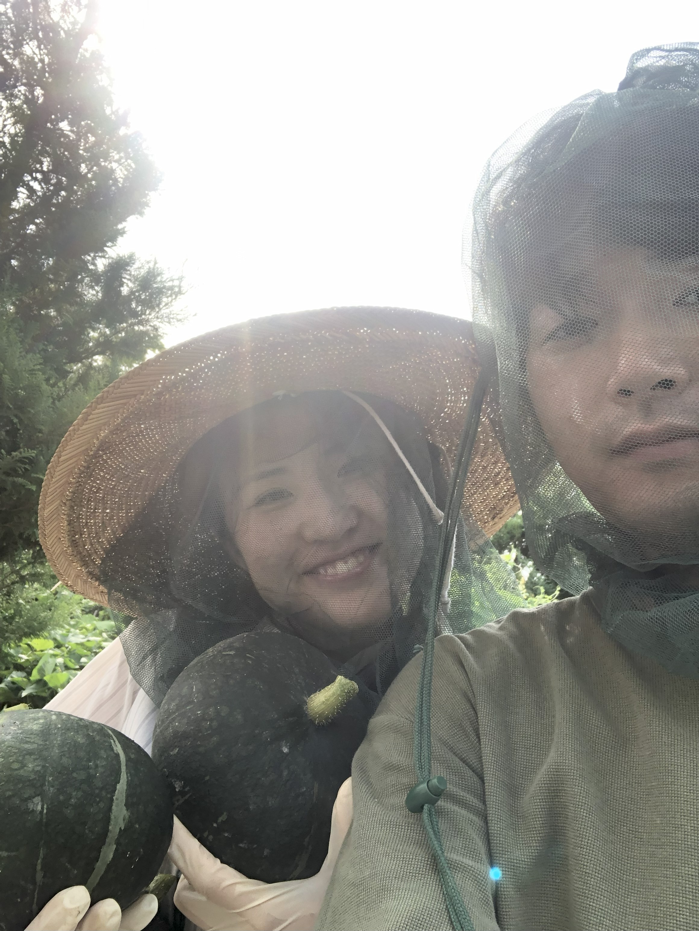 Our first vegetable harvest together