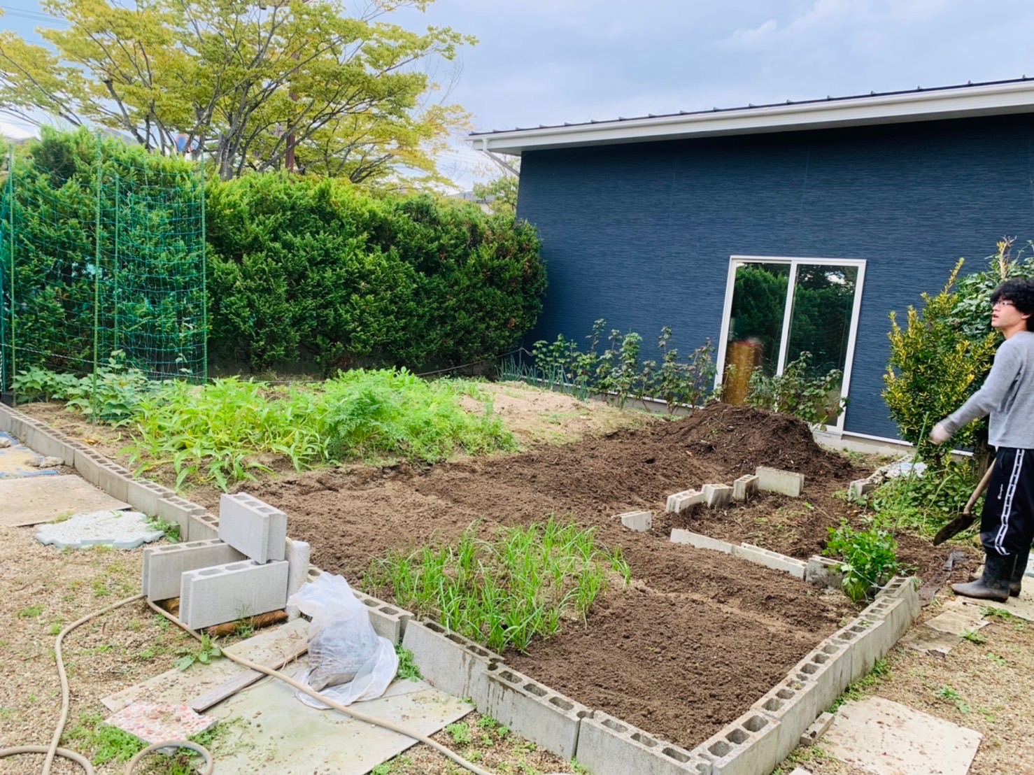 夏野菜を片付け、ニンニクの植え付けスペースを確保した畑のようす